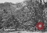 Image of river United States USA, 1920, second 19 stock footage video 65675076880