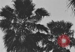 Image of river United States USA, 1920, second 20 stock footage video 65675076880