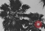 Image of river United States USA, 1920, second 22 stock footage video 65675076880