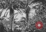 Image of river United States USA, 1920, second 25 stock footage video 65675076880