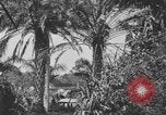Image of river United States USA, 1920, second 26 stock footage video 65675076880