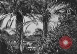 Image of river United States USA, 1920, second 27 stock footage video 65675076880