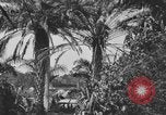 Image of river United States USA, 1920, second 28 stock footage video 65675076880