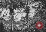 Image of river United States USA, 1920, second 29 stock footage video 65675076880