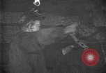 Image of coal mining United States USA, 1916, second 20 stock footage video 65675076885