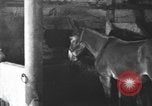 Image of coal mining United States USA, 1916, second 55 stock footage video 65675076885