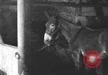 Image of coal mining United States USA, 1916, second 56 stock footage video 65675076885