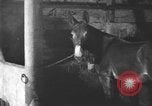 Image of coal mining United States USA, 1916, second 57 stock footage video 65675076885