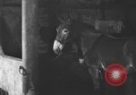 Image of coal mining United States USA, 1916, second 58 stock footage video 65675076885
