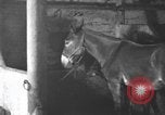 Image of coal mining United States USA, 1916, second 59 stock footage video 65675076885