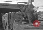 Image of coal mining United States USA, 1916, second 24 stock footage video 65675076886