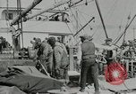 Image of manufacture of dynamite United States USA, 1925, second 55 stock footage video 65675076915