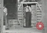 Image of manufacture of dynamite United States USA, 1925, second 11 stock footage video 65675076920