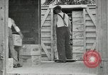 Image of manufacture of dynamite United States USA, 1925, second 12 stock footage video 65675076920