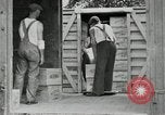 Image of manufacture of dynamite United States USA, 1925, second 14 stock footage video 65675076920