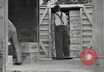 Image of manufacture of dynamite United States USA, 1925, second 16 stock footage video 65675076920