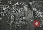 Image of manufacture of dynamite United States USA, 1925, second 17 stock footage video 65675076921