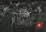 Image of manufacture of dynamite United States USA, 1925, second 23 stock footage video 65675076921