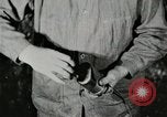 Image of manufacture of dynamite United States USA, 1925, second 36 stock footage video 65675076921