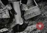 Image of dynamite United States USA, 1925, second 61 stock footage video 65675076923