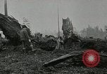 Image of dynamite United States USA, 1925, second 28 stock footage video 65675076926