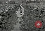 Image of dynamite United States USA, 1925, second 44 stock footage video 65675076926