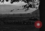 Image of American soldiers Pietravairano Italy, 1943, second 5 stock footage video 65675076933