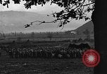 Image of American soldiers Pietravairano Italy, 1943, second 13 stock footage video 65675076933