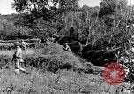 Standbild 30 Infanterie fortschreitende Zweiten Weltkrieg Pietravairano Italien, 1943, aus Sekunde 3 historischem Filmmaterial Videoclip 65675076935