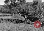Standbild 30 Infanterie fortschreitende Zweiten Weltkrieg Pietravairano Italien, 1943, aus Sekunde 6 historischem Filmmaterial Videoclip 65675076935