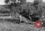 Standbild 30 Infanterie fortschreitende Zweiten Weltkrieg Pietravairano Italien, 1943, aus Sekunde 7 historischem Filmmaterial Videoclip 65675076935