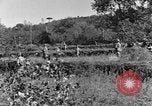 Standbild 30 Infanterie fortschreitende Zweiten Weltkrieg Pietravairano Italien, 1943, aus Sekunde 13 historischem Filmmaterial Videoclip 65675076935