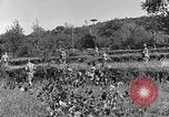 Standbild 30 Infanterie fortschreitende Zweiten Weltkrieg Pietravairano Italien, 1943, aus Sekunde 15 historischem Filmmaterial Videoclip 65675076935
