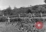 Standbild 30 Infanterie fortschreitende Zweiten Weltkrieg Pietravairano Italien, 1943, aus Sekunde 16 historischem Filmmaterial Videoclip 65675076935