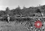Standbild 30 Infanterie fortschreitende Zweiten Weltkrieg Pietravairano Italien, 1943, aus Sekunde 18 historischem Filmmaterial Videoclip 65675076935