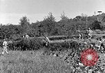 Standbild 30 Infanterie fortschreitende Zweiten Weltkrieg Pietravairano Italien, 1943, aus Sekunde 20 historischem Filmmaterial Videoclip 65675076935