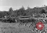 Standbild 30 Infanterie fortschreitende Zweiten Weltkrieg Pietravairano Italien, 1943, aus Sekunde 22 historischem Filmmaterial Videoclip 65675076935