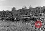 Standbild 30 Infanterie fortschreitende Zweiten Weltkrieg Pietravairano Italien, 1943, aus Sekunde 23 historischem Filmmaterial Videoclip 65675076935
