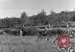 Standbild 30 Infanterie fortschreitende Zweiten Weltkrieg Pietravairano Italien, 1943, aus Sekunde 24 historischem Filmmaterial Videoclip 65675076935