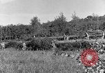 Standbild 30 Infanterie fortschreitende Zweiten Weltkrieg Pietravairano Italien, 1943, aus Sekunde 25 historischem Filmmaterial Videoclip 65675076935