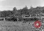 Standbild 30 Infanterie fortschreitende Zweiten Weltkrieg Pietravairano Italien, 1943, aus Sekunde 27 historischem Filmmaterial Videoclip 65675076935