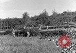Standbild 30 Infanterie fortschreitende Zweiten Weltkrieg Pietravairano Italien, 1943, aus Sekunde 31 historischem Filmmaterial Videoclip 65675076935