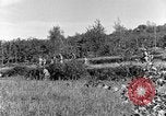 Standbild 30 Infanterie fortschreitende Zweiten Weltkrieg Pietravairano Italien, 1943, aus Sekunde 33 historischem Filmmaterial Videoclip 65675076935