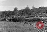 Standbild 30 Infanterie fortschreitende Zweiten Weltkrieg Pietravairano Italien, 1943, aus Sekunde 35 historischem Filmmaterial Videoclip 65675076935
