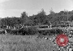 Standbild 30 Infanterie fortschreitende Zweiten Weltkrieg Pietravairano Italien, 1943, aus Sekunde 36 historischem Filmmaterial Videoclip 65675076935