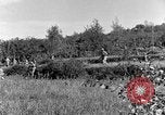 Standbild 30 Infanterie fortschreitende Zweiten Weltkrieg Pietravairano Italien, 1943, aus Sekunde 37 historischem Filmmaterial Videoclip 65675076935
