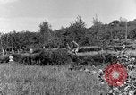 Standbild 30 Infanterie fortschreitende Zweiten Weltkrieg Pietravairano Italien, 1943, aus Sekunde 39 historischem Filmmaterial Videoclip 65675076935