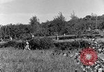 Standbild 30 Infanterie fortschreitende Zweiten Weltkrieg Pietravairano Italien, 1943, aus Sekunde 42 historischem Filmmaterial Videoclip 65675076935