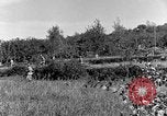 Standbild 30 Infanterie fortschreitende Zweiten Weltkrieg Pietravairano Italien, 1943, aus Sekunde 43 historischem Filmmaterial Videoclip 65675076935