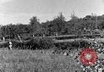 Standbild 30 Infanterie fortschreitende Zweiten Weltkrieg Pietravairano Italien, 1943, aus Sekunde 44 historischem Filmmaterial Videoclip 65675076935